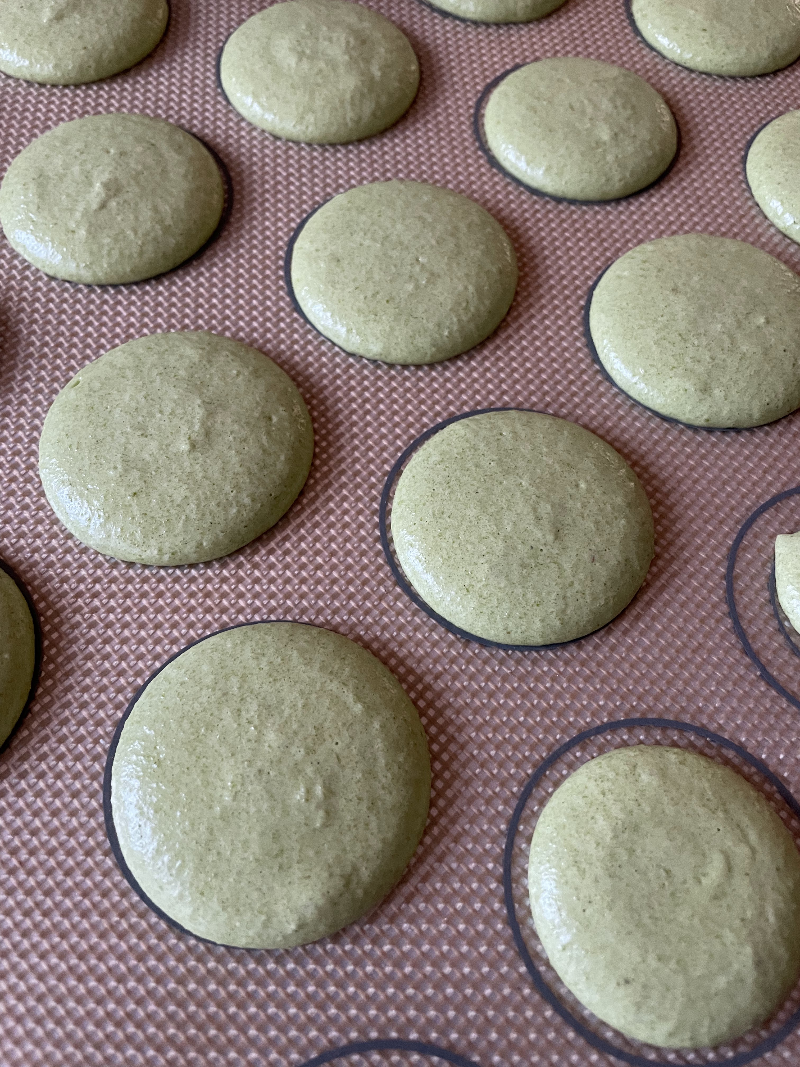 Matcha macaron shells