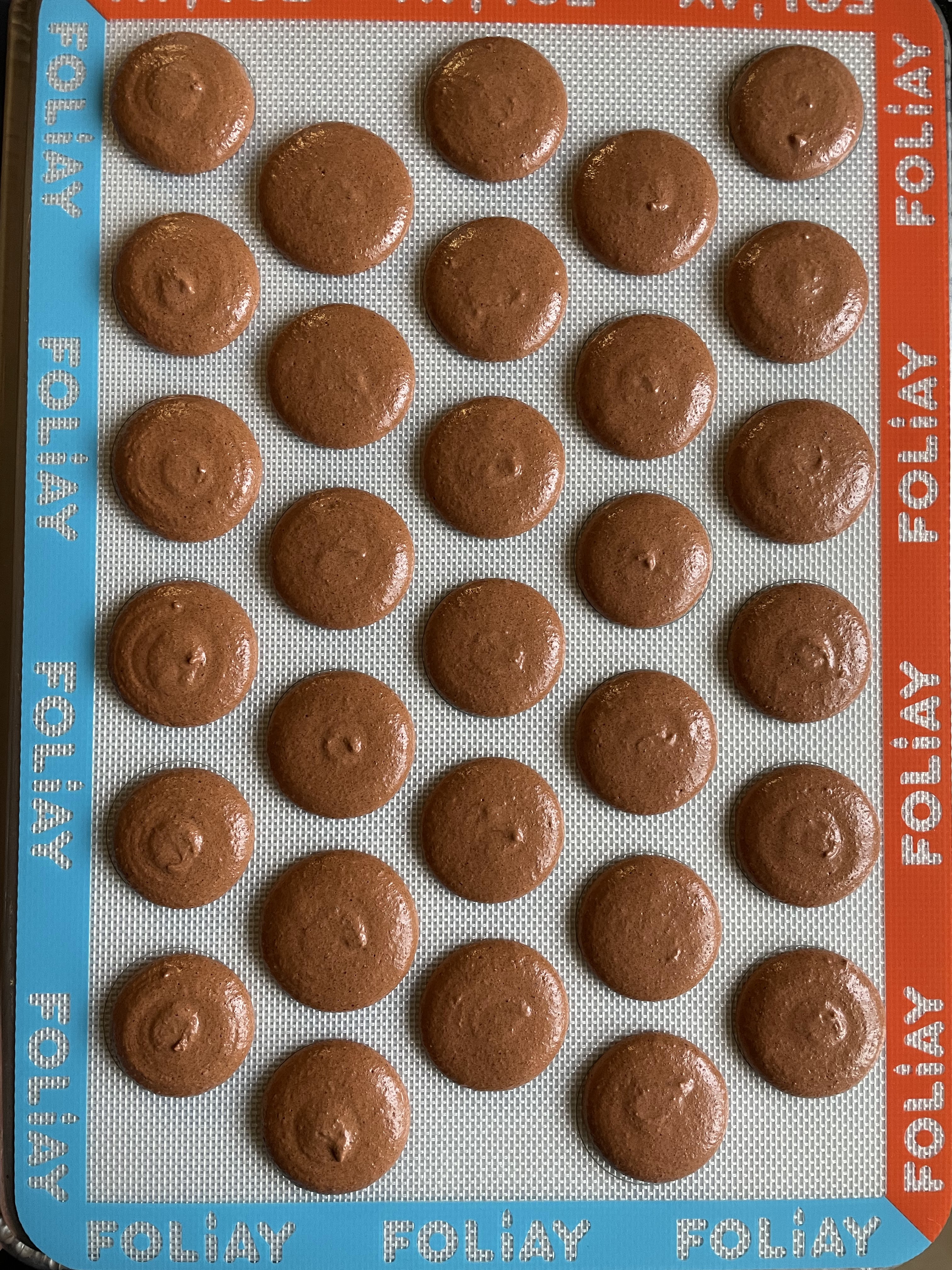 Hazelnut macaron shells