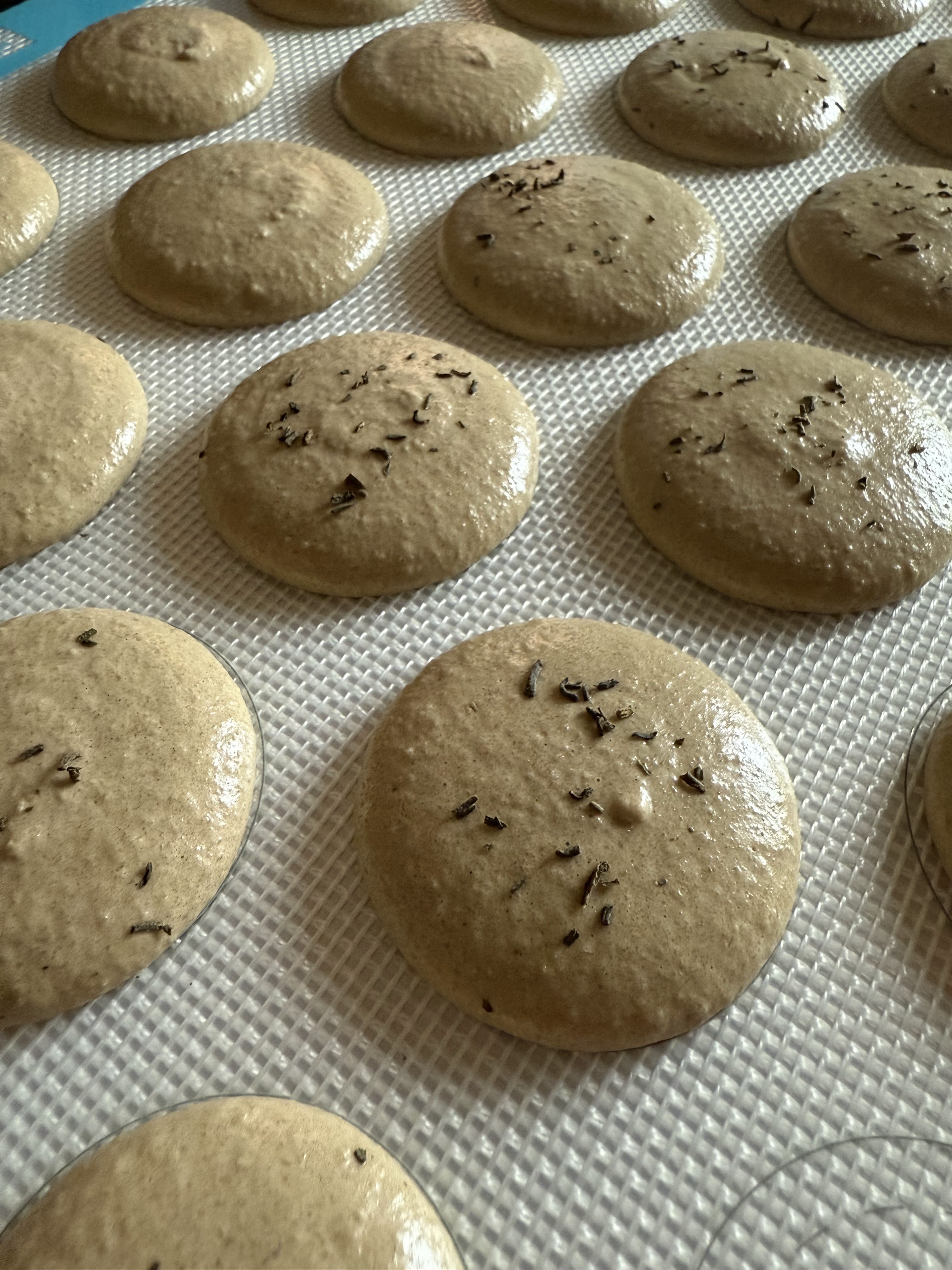 oolong macaron shells