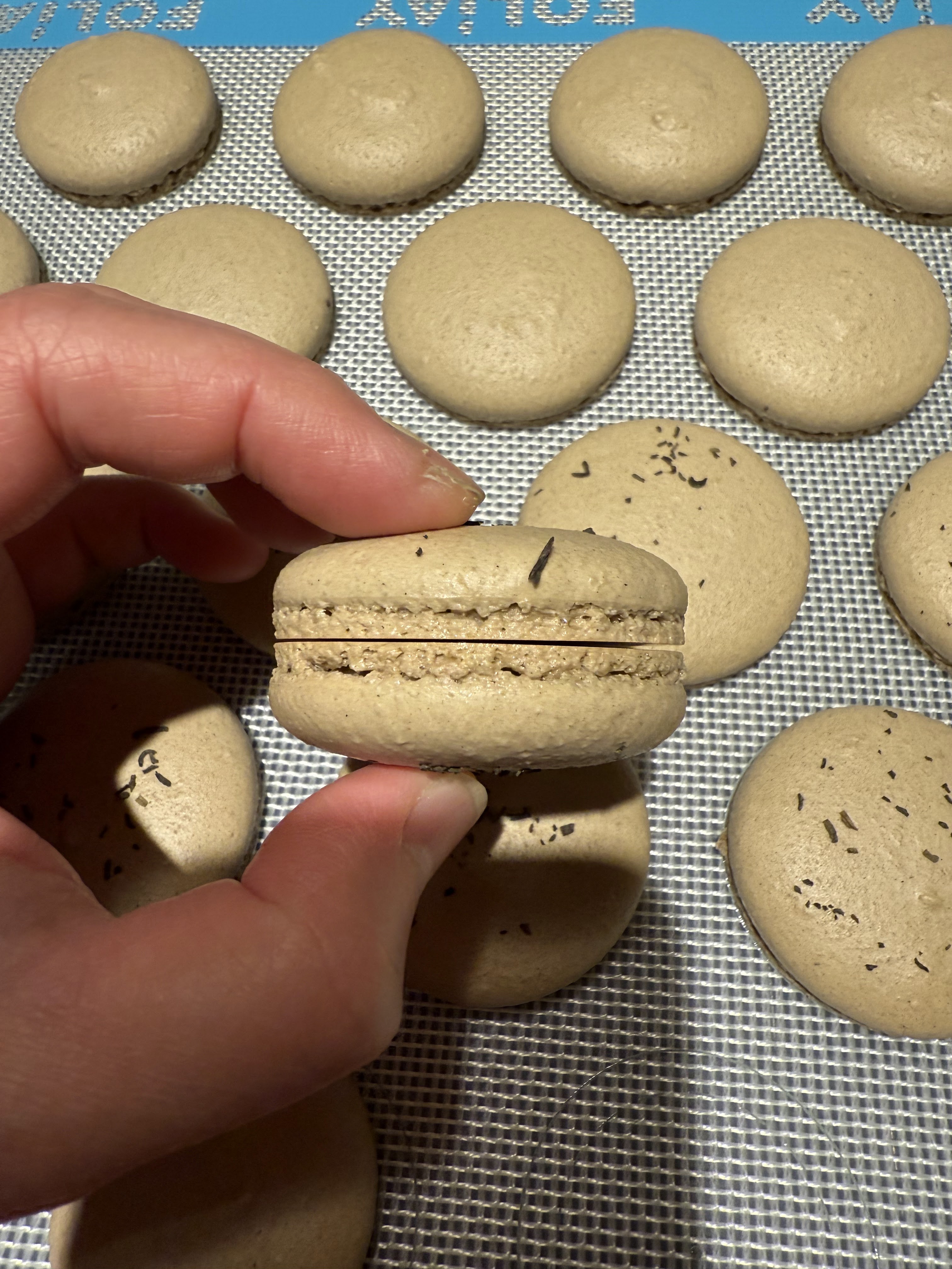 oolong macaron shells