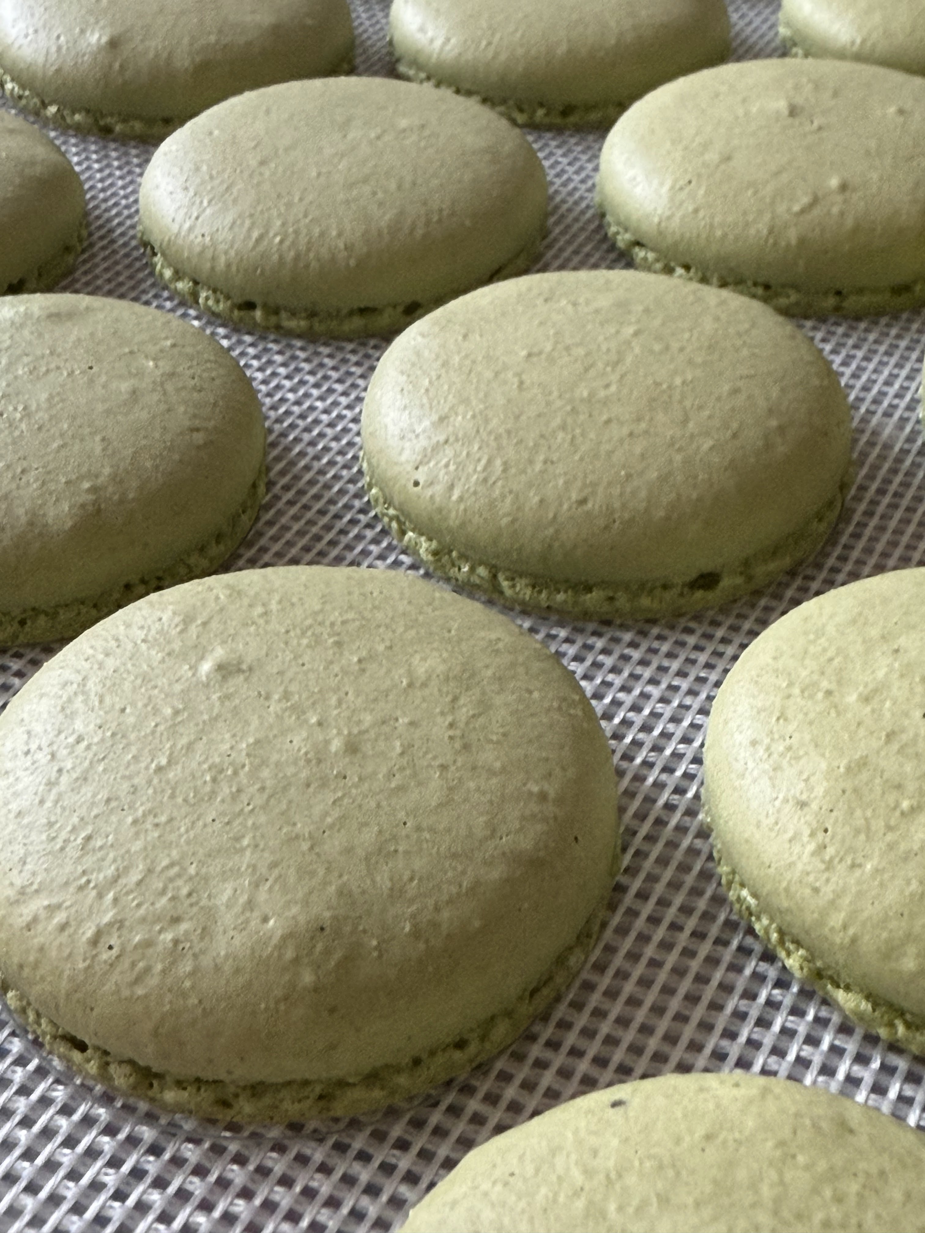 Matcha macaron shells