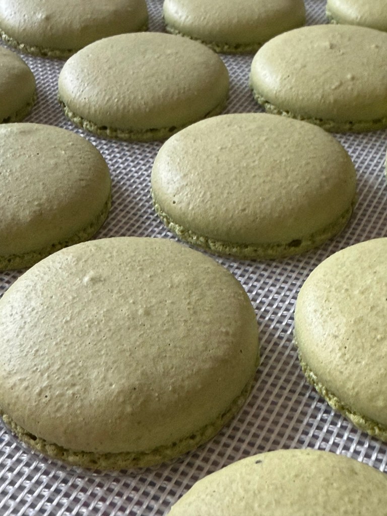 Matcha macaron shells