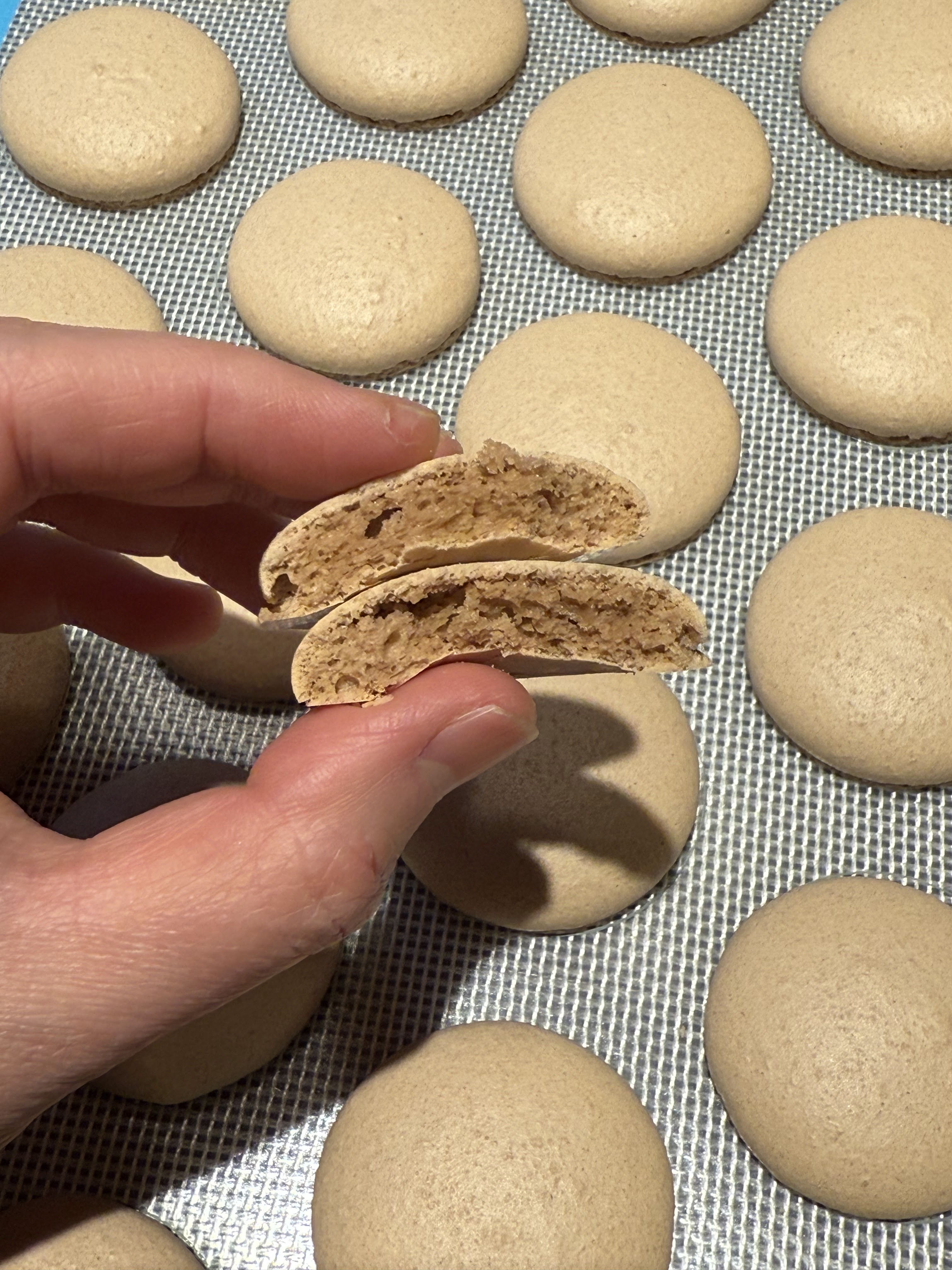 Chocolate macaron shells