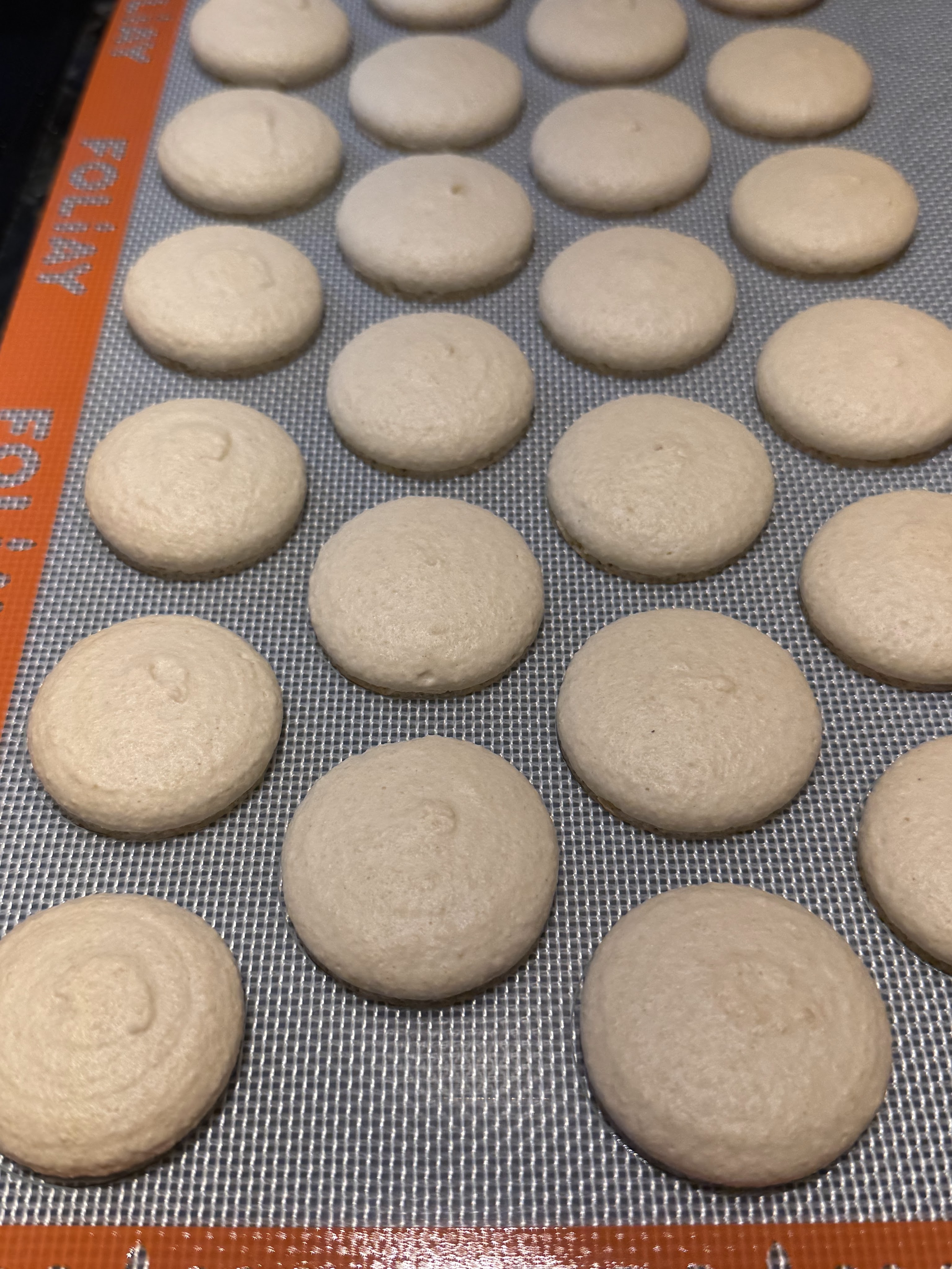 Coconut macaron shells