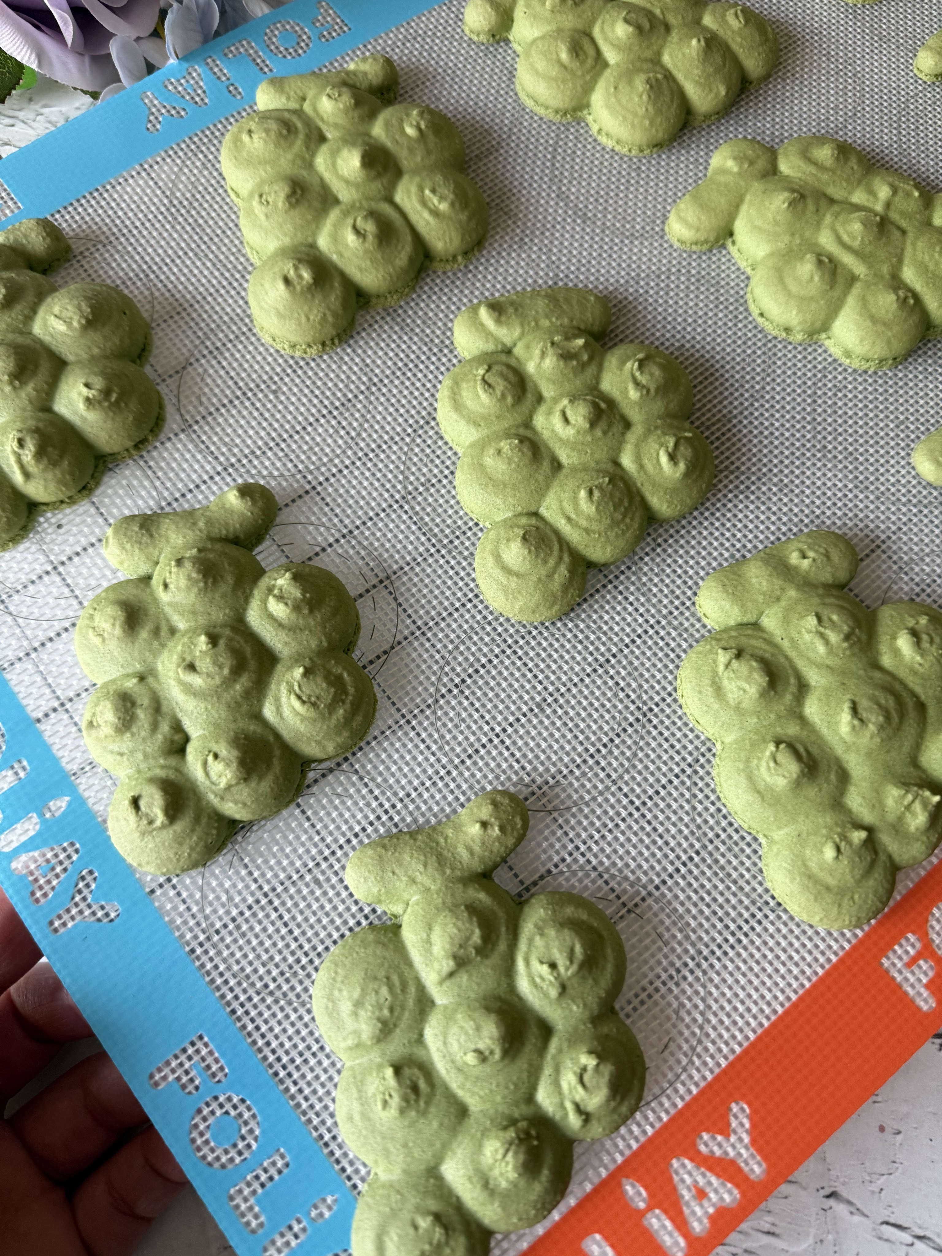 Jasmine Green Matcha macaron shells