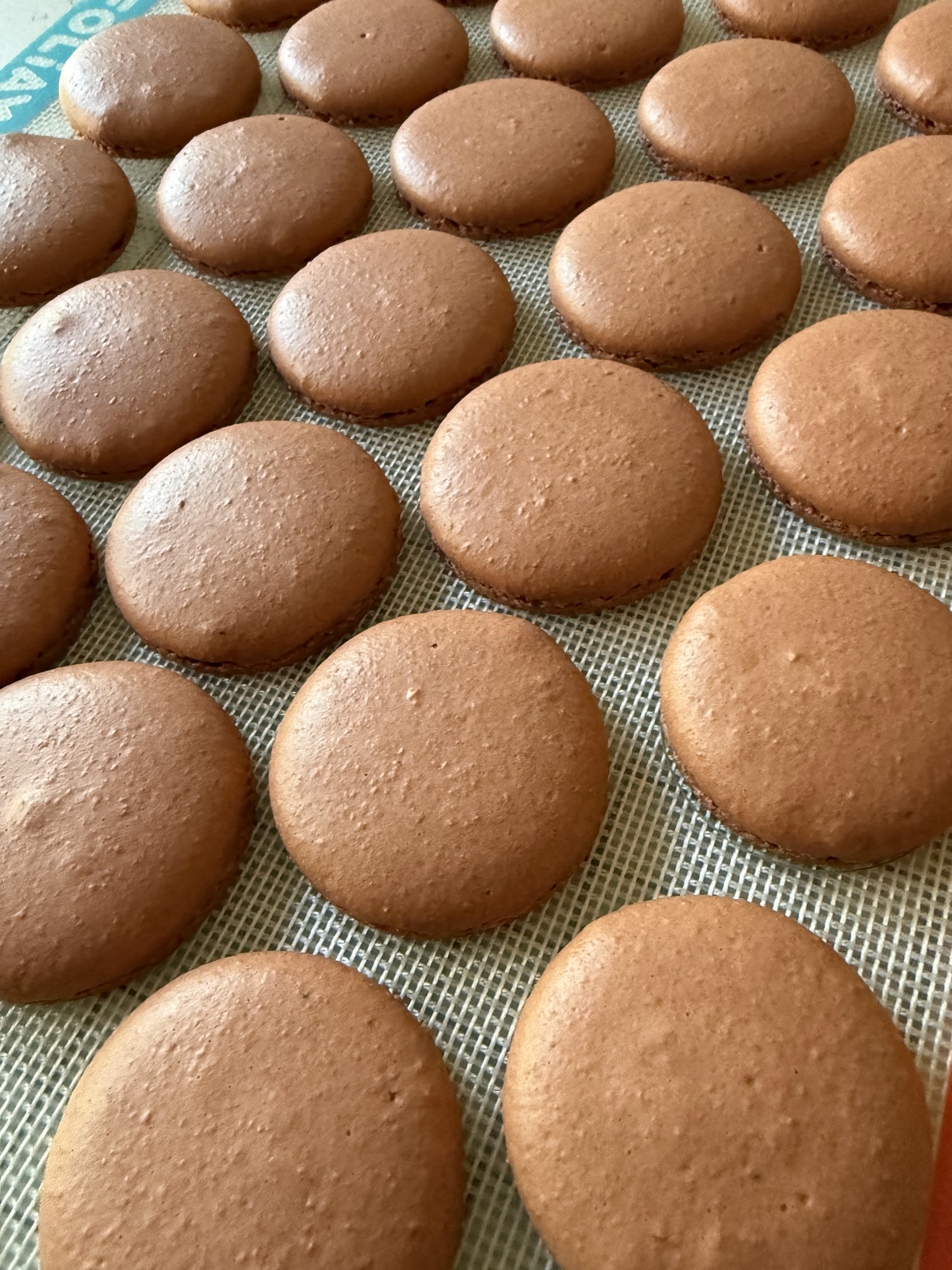 Chocolate macaron shells
