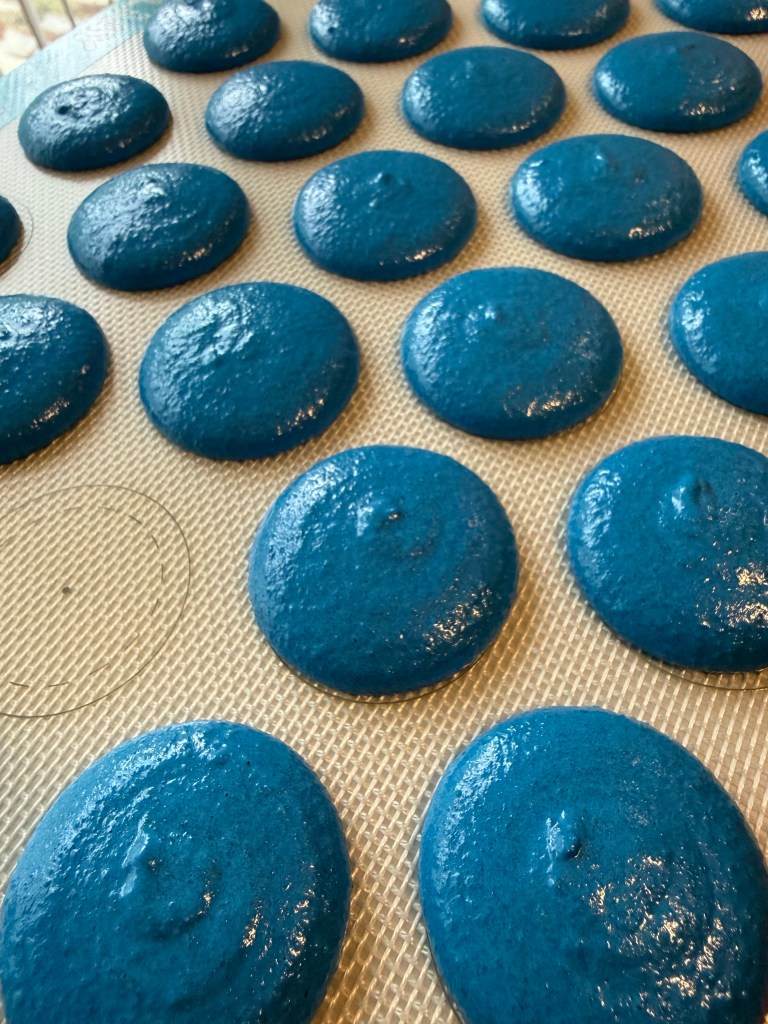 Blue macaron shells