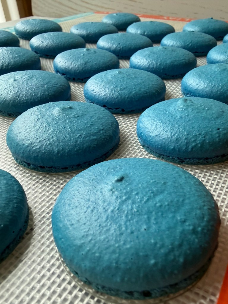 Blue macaron shells